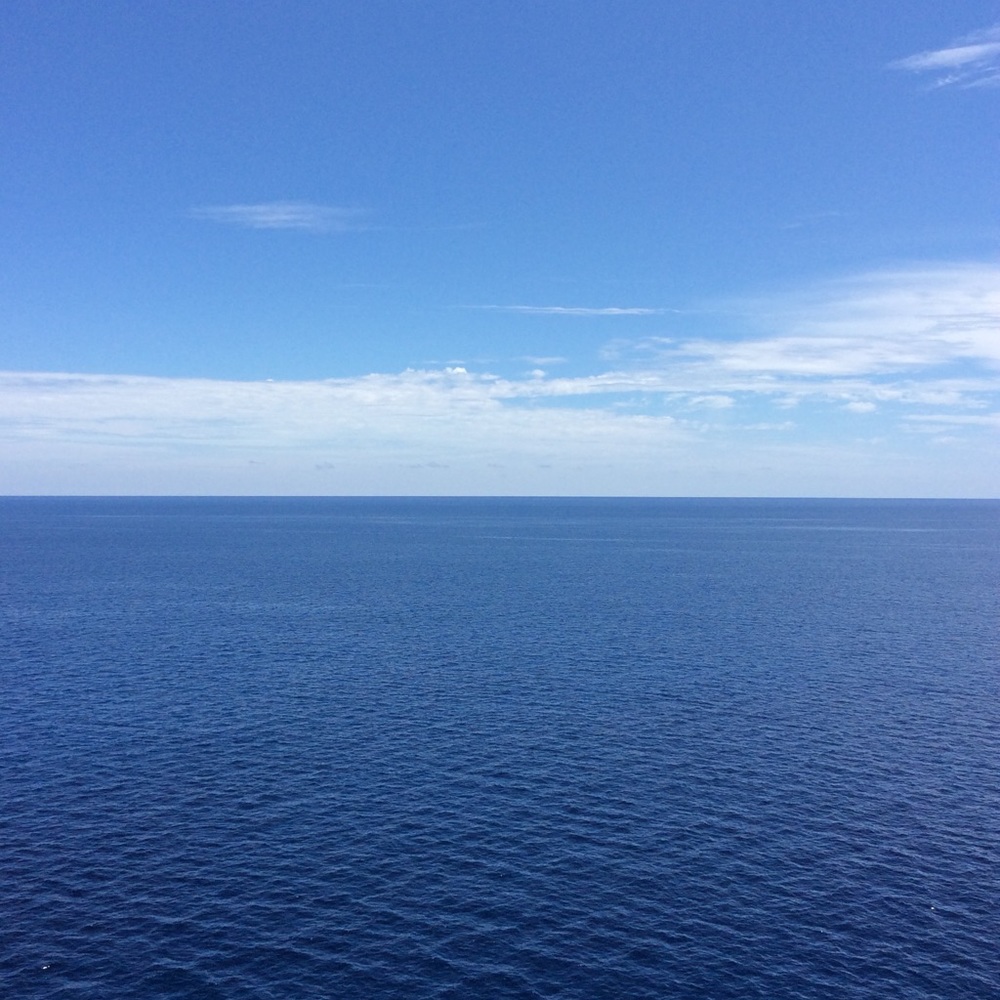 Meet your Posher, Katara